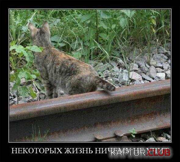 f9fe5e482a279ecb70979433a89_prev.jpg | Рено Каптур Клуб Россия | Форум KAPTUR.SU