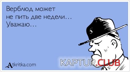 fa2c78121ff965ef547d024a28e.jpg | Рено Каптур Клуб Россия | Форум KAPTUR.SU