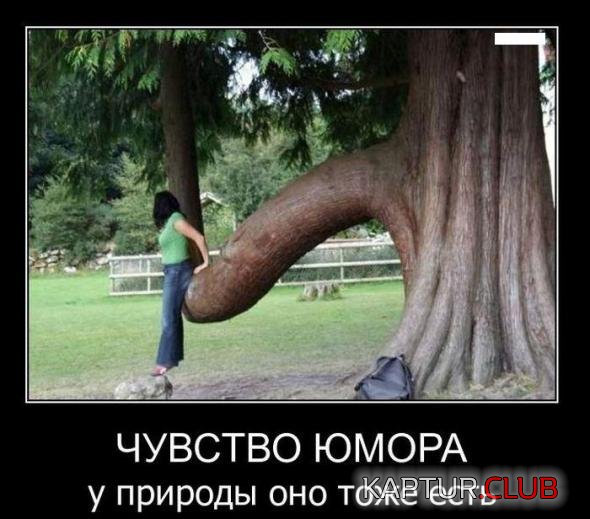fa9bc436c24ac0b906c96935005_prev.jpg | Рено Каптур Клуб Россия | Форум KAPTUR.SU