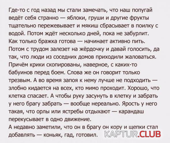 fb2483fd898a74eb5791890ad3f_prev.jpg | Рено Каптур Клуб Россия | Форум KAPTUR.SU