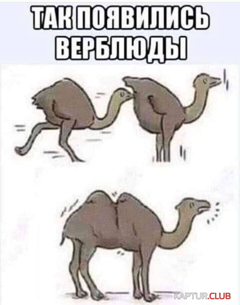 FB_IMG_1649338776830.jpg | Рено Каптур Клуб Россия | Форум KAPTUR.SU