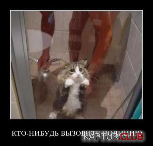 fba40260515d05e61c426894e1d.jpg | Рено Каптур Клуб Россия | Форум KAPTUR.SU