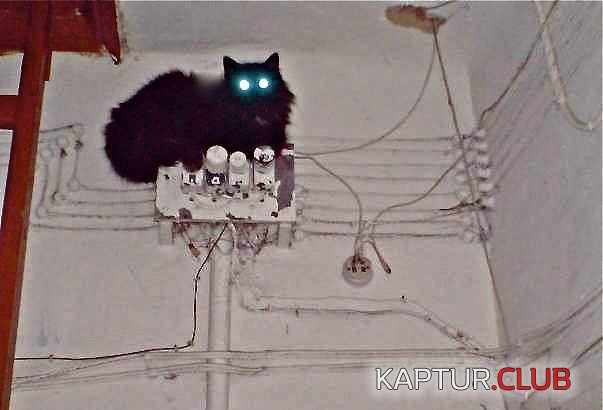 fbadae6663853be0fee254ea639.jpg | Рено Каптур Клуб Россия | Форум KAPTUR.SU