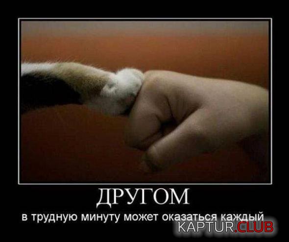 fbd253a1bb50a56a0e27afbbbce_prev.jpg | Рено Каптур Клуб Россия | Форум KAPTUR.SU