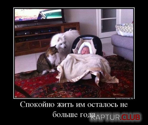 fbfb171b62e51c52bf5f0102ebb_prev.jpg | Рено Каптур Клуб Россия | Форум KAPTUR.SU