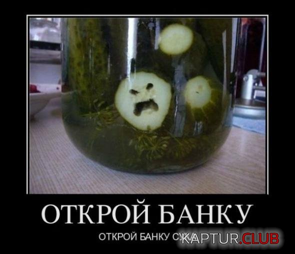 fd93dae54983e75628ad40d0fda_prev.jpg | Рено Каптур Клуб Россия | Форум KAPTUR.SU