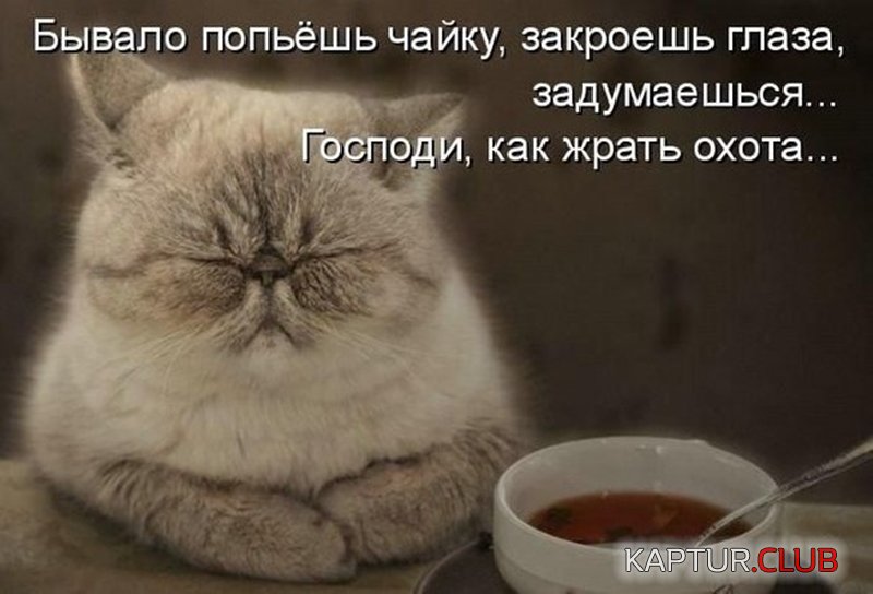 fdb2c10f00d891f612125310f92.jpg | Рено Каптур Клуб Россия | Форум KAPTUR.SU
