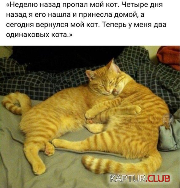 fe0d3d53154aaa61781d4a89fb4.jpg | Рено Каптур Клуб Россия | Форум KAPTUR.SU