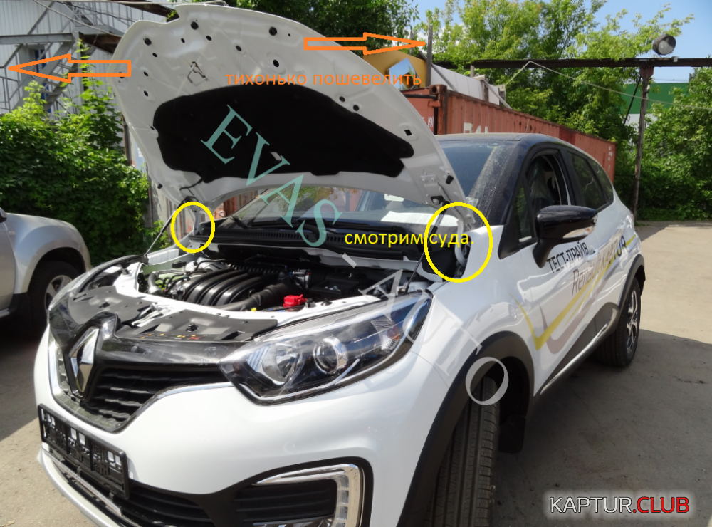 fe3b2c59a56ee6744d4cced0e4ae2179.png | Рено Каптур Клуб Россия | Форум KAPTUR.SU