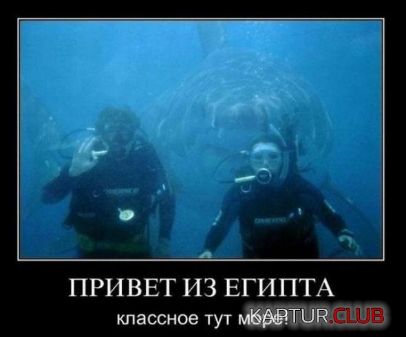 fe548a11a0eb05eb16cc06f2dc7_prev.jpg | Рено Каптур Клуб Россия | Форум KAPTUR.SU