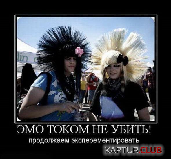 feed971aa76ff2d95b20b770d6b_prev.jpg | Рено Каптур Клуб Россия | Форум KAPTUR.SU