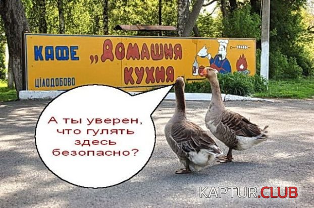 feedf510043eec1f5a1f1f72e37a56c5.jpg | Рено Каптур Клуб Россия | Форум KAPTUR.SU