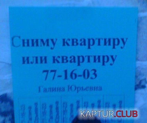 ff10bec6216e1c408425bd247db.jpg | Рено Каптур Клуб Россия | Форум KAPTUR.SU