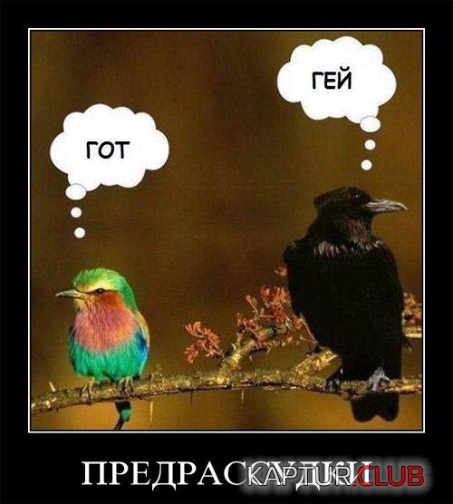 ff22f75239e1cb9e87bb1c50edf.jpg | Рено Каптур Клуб Россия | Форум KAPTUR.SU