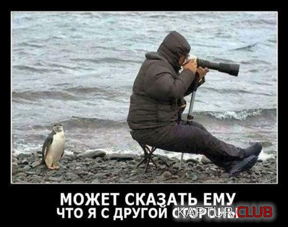 ff5a90ad703f0daf6ed10ef8cc2_prev.jpg | Рено Каптур Клуб Россия | Форум KAPTUR.SU