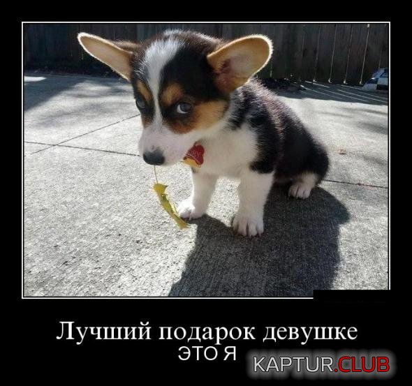 ff7addd3a002970cfaa01ad4507_prev.jpg | Рено Каптур Клуб Россия | Форум KAPTUR.SU