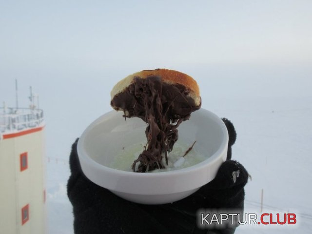 food_in_the_cold_04.jpg | Рено Каптур Клуб Россия | Форум KAPTUR.SU