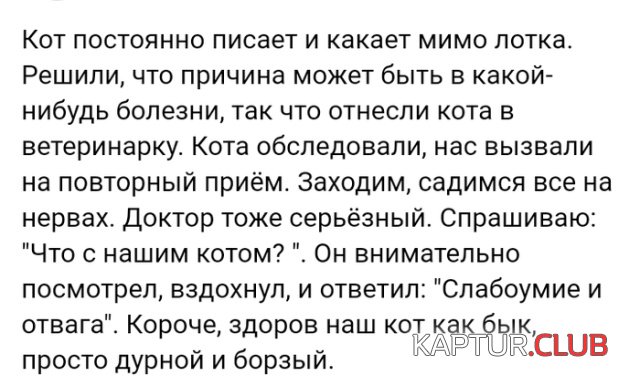 forum_05.jpg | Рено Каптур Клуб Россия | Форум KAPTUR.SU
