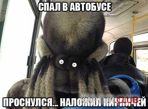 foto_s_tekstom_13.jpg | Рено Каптур Клуб Россия | Форум KAPTUR.SU