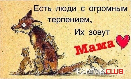Gcr0AO6YQfA.jpg | Рено Каптур Клуб Россия | Форум KAPTUR.SU