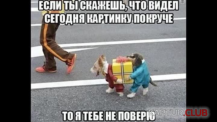 getImage.jpg | Рено Каптур Клуб Россия | Форум KAPTUR.SU