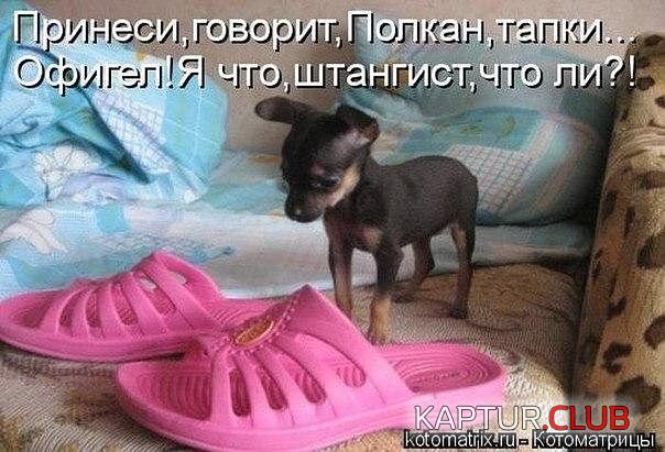 getImageCAG0O0TD.jpg | Рено Каптур Клуб Россия | Форум KAPTUR.SU