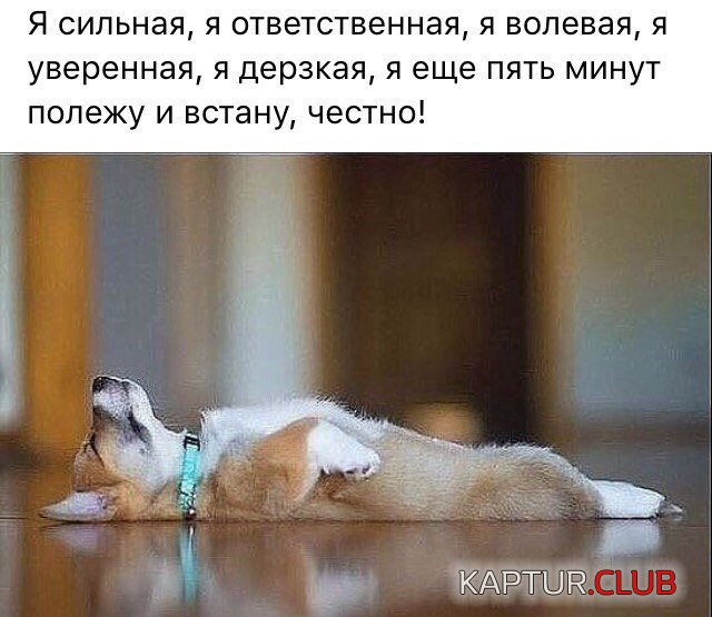gG1UoW6SNcc.jpg | Рено Каптур Клуб Россия | Форум KAPTUR.SU