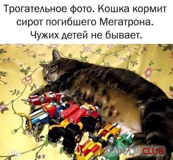glupie_prikoli_01.jpg | Рено Каптур Клуб Россия | Форум KAPTUR.SU