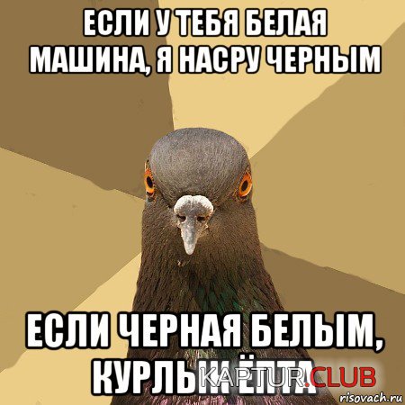 golub_104581638_orig_.jpg | Рено Каптур Клуб Россия | Форум KAPTUR.SU