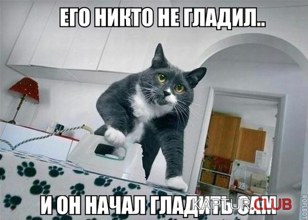 Gve2FaN1sqc.jpg | Рено Каптур Клуб Россия | Форум KAPTUR.SU