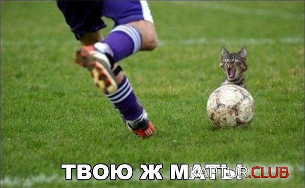 h4jivrgneky.jpg | Рено Каптур Клуб Россия | Форум KAPTUR.SU