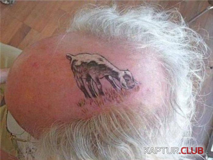 have_fun_15.jpg | Рено Каптур Клуб Россия | Форум KAPTUR.SU
