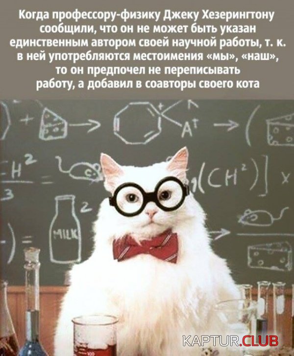 himiya_12.jpg | Рено Каптур Клуб Россия | Форум KAPTUR.SU
