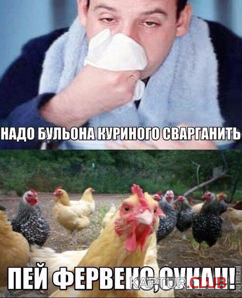 hwE3QDUlL5Y.jpg | Рено Каптур Клуб Россия | Форум KAPTUR.SU