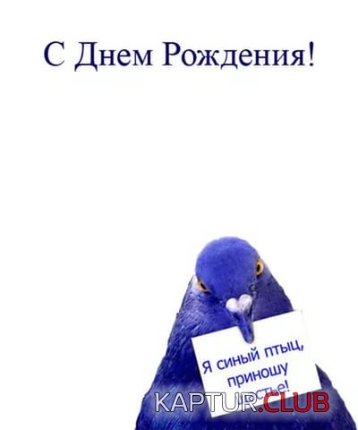 i.jpg | Рено Каптур Клуб Россия | Форум KAPTUR.SU