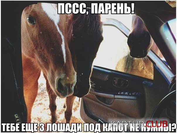 i41iZLAqFxk.jpg | Рено Каптур Клуб Россия | Форум KAPTUR.SU