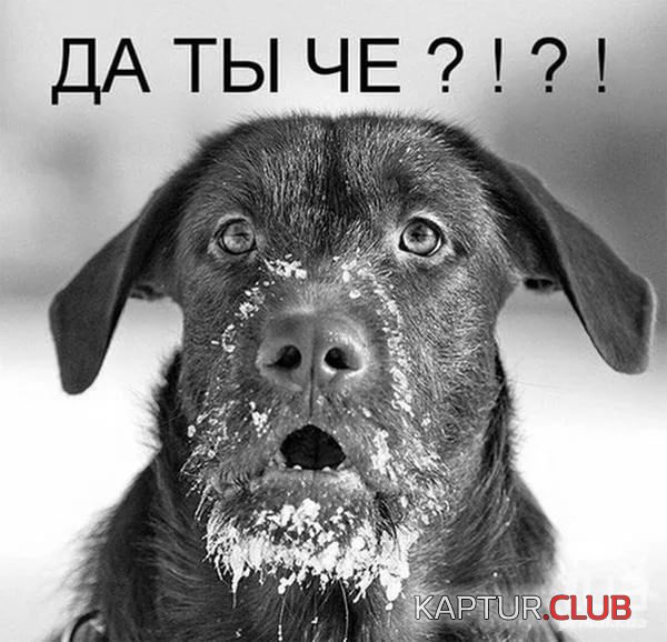 i8KNPB00U.jpg | Рено Каптур Клуб Россия | Форум KAPTUR.SU