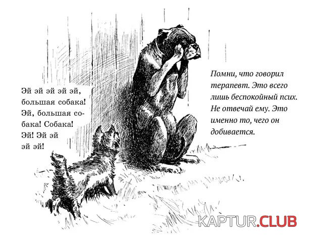 iE7YMV1UG.jpg | Рено Каптур Клуб Россия | Форум KAPTUR.SU