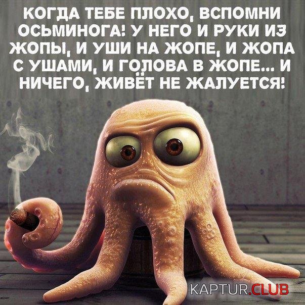 ieM1tQvXLfM.jpg | Рено Каптур Клуб Россия | Форум KAPTUR.SU