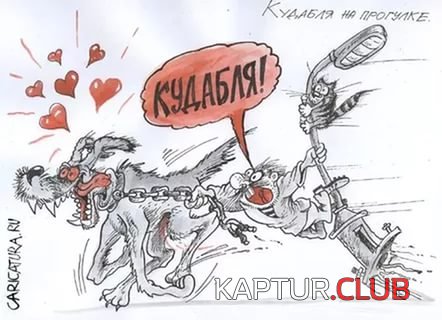 iK7NDN164.jpg | Рено Каптур Клуб Россия | Форум KAPTUR.SU