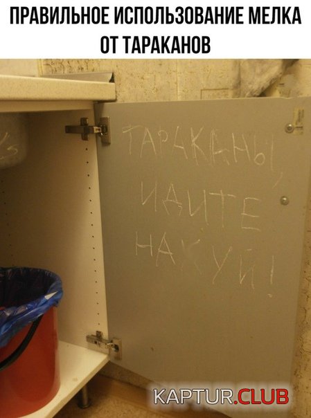 -IKceqEgqoo.jpg | Рено Каптур Клуб Россия | Форум KAPTUR.SU