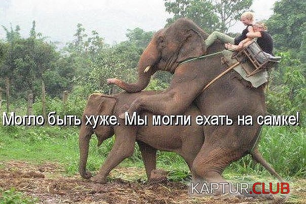 image (1).jpg | Рено Каптур Клуб Россия | Форум KAPTUR.SU