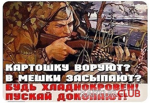 image-1.jpg | Рено Каптур Клуб Россия | Форум KAPTUR.SU