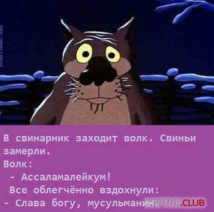 image (10).jpg | Рено Каптур Клуб Россия | Форум KAPTUR.SU