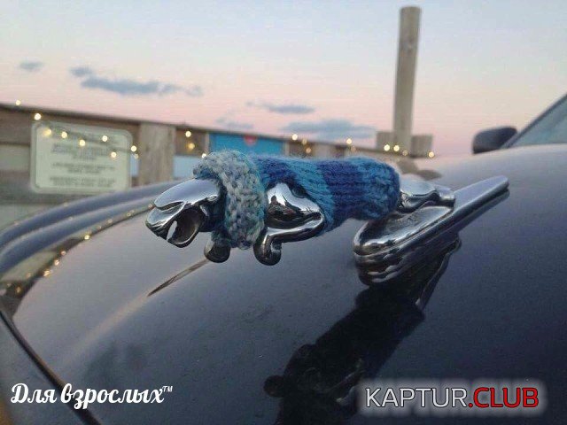 image (10).jpg | Рено Каптур Клуб Россия | Форум KAPTUR.SU