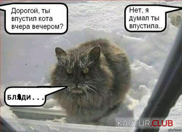 image (16).jpg | Рено Каптур Клуб Россия | Форум KAPTUR.SU