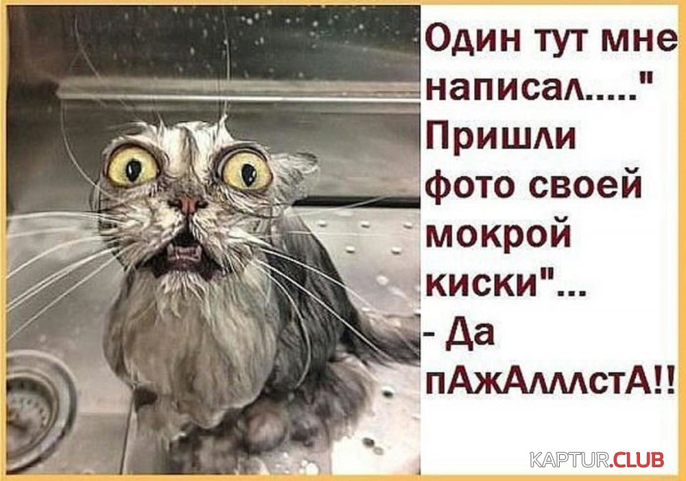 image (2).jpg | Рено Каптур Клуб Россия | Форум KAPTUR.SU