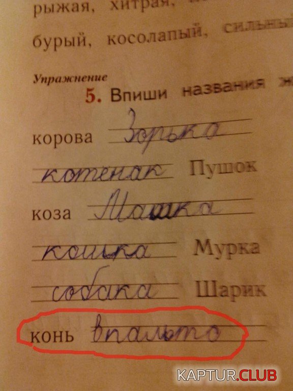 image (2).jpg | Рено Каптур Клуб Россия | Форум KAPTUR.SU