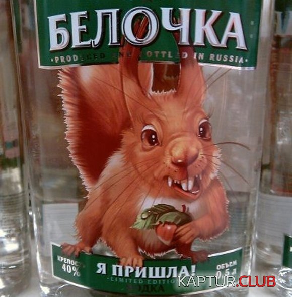 image (24).jpg | Рено Каптур Клуб Россия | Форум KAPTUR.SU