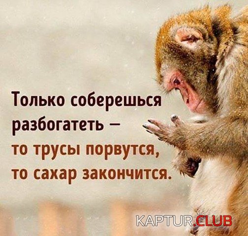 image-3.jpg | Рено Каптур Клуб Россия | Форум KAPTUR.SU